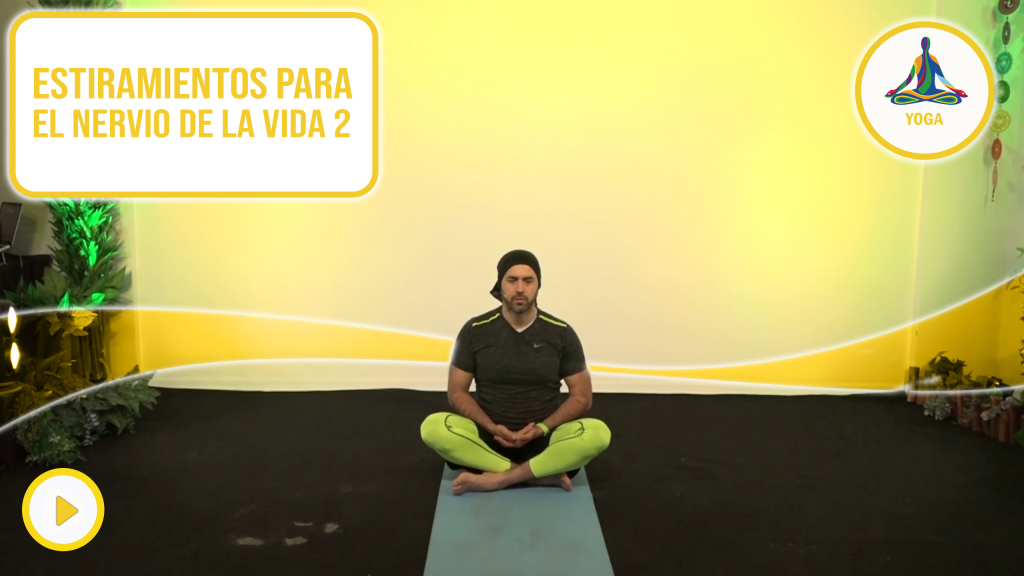 Estiramientos para el nervio de la vida 2