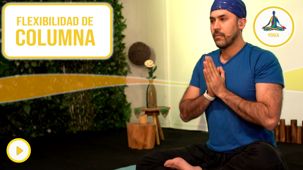Flexibilidad de columna