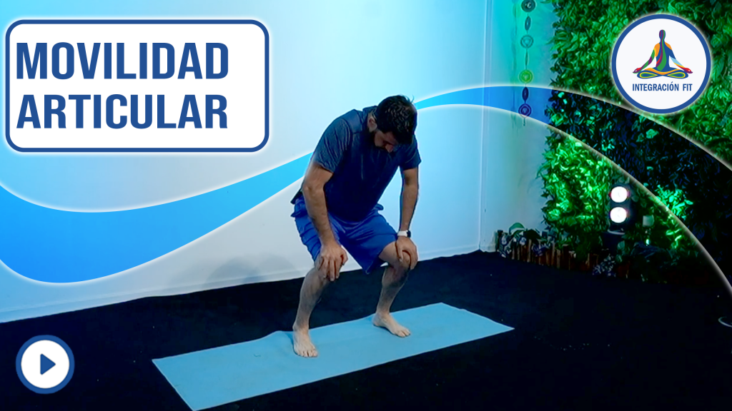 Movilidad articular