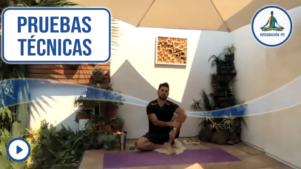 Pruebas técnicas