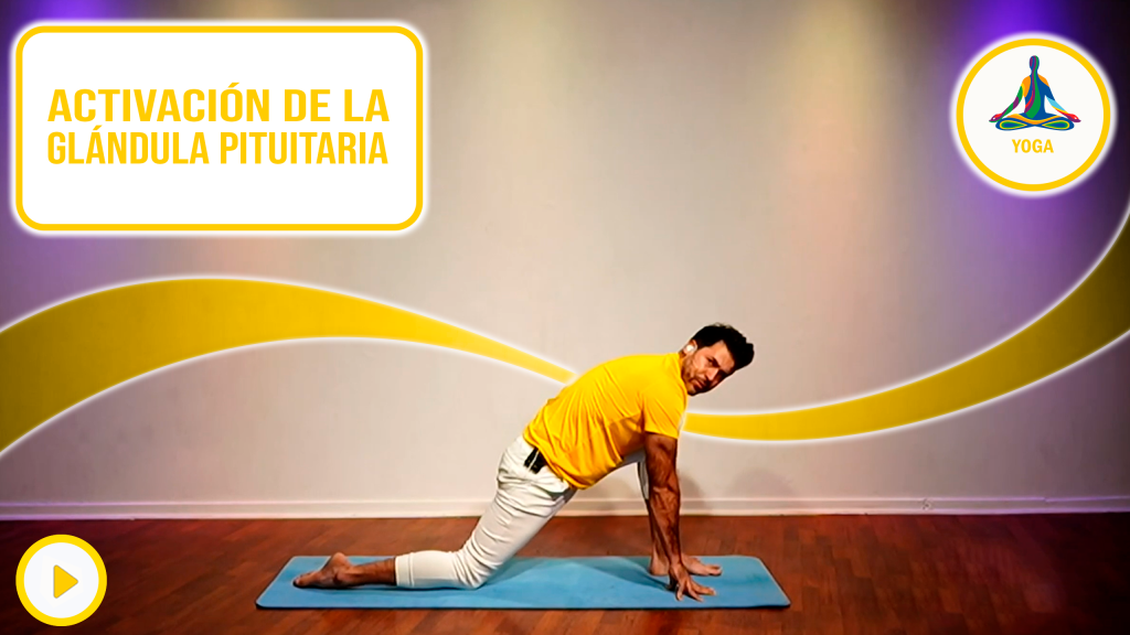 Activación de la glándula pituitaria