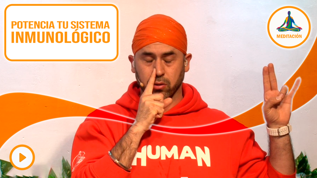 Potencia tu sistema inmunológico