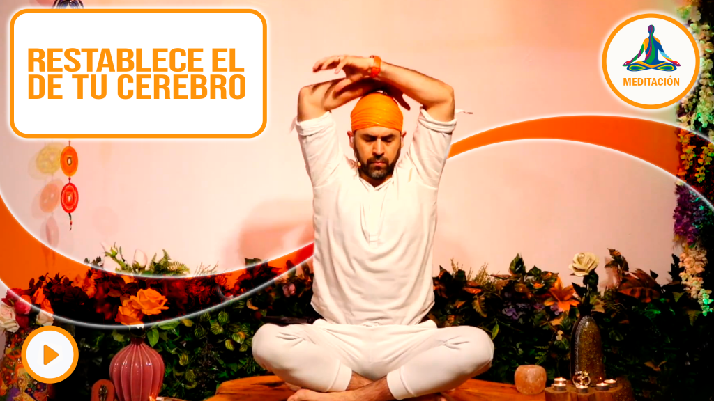 Restablece el campo de tu cerebro