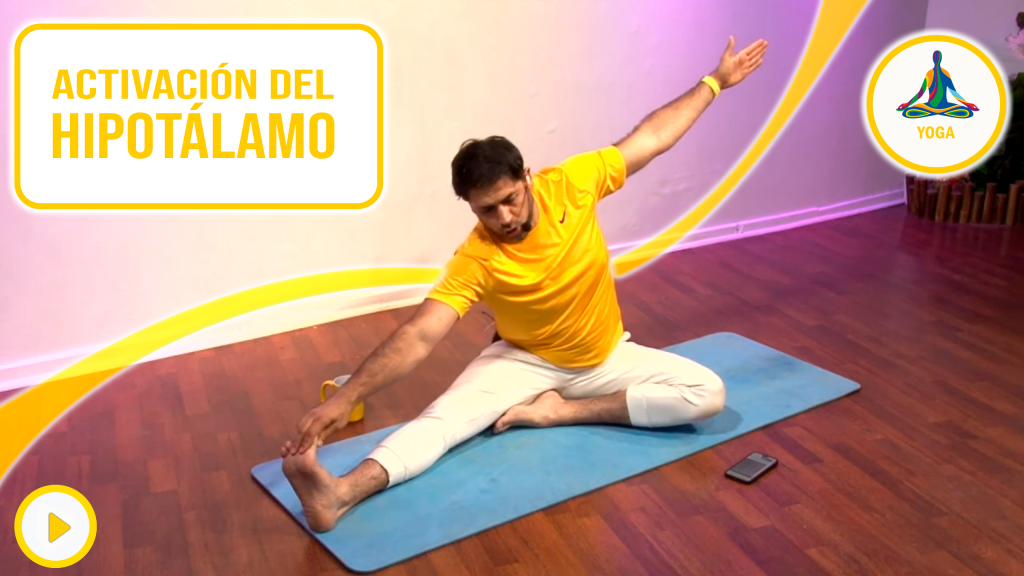 Activación del hipotalamo