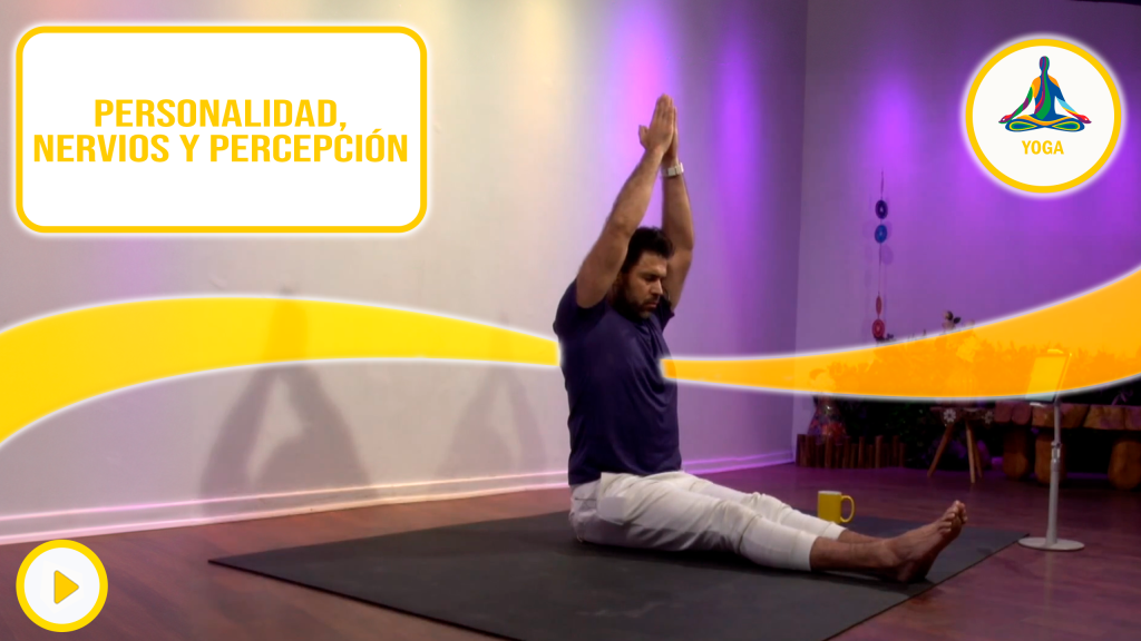 Personalidad, nervios y percepción