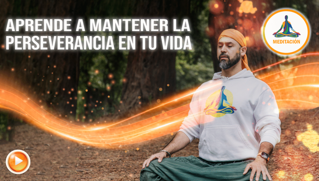 Aprende a mantener la perseverancia en tu vida